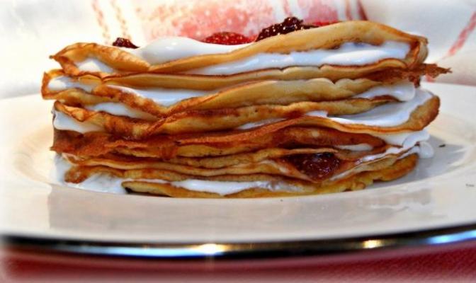 Thin pancakes with milk.  Pancakes - the best recipes.  How to bake pancakes correctly and tasty. What can you use to bake pancakes?