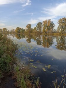 Заготовка на Глухом.