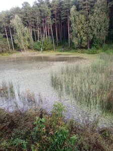 Неординарная рыбалка.