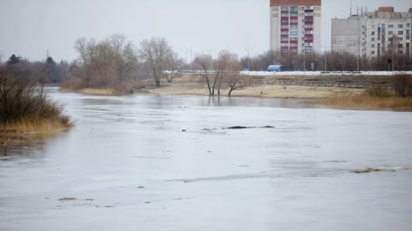 В Кургане стартовал второй этап расчистки русла реки Тобол