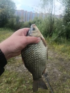 Котлован в черте города - выдаёт не плохих матросиков.