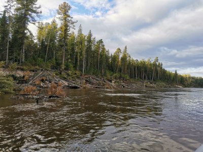 Вдаль по черной воде...