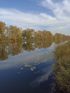 Заготовка на Глухом.